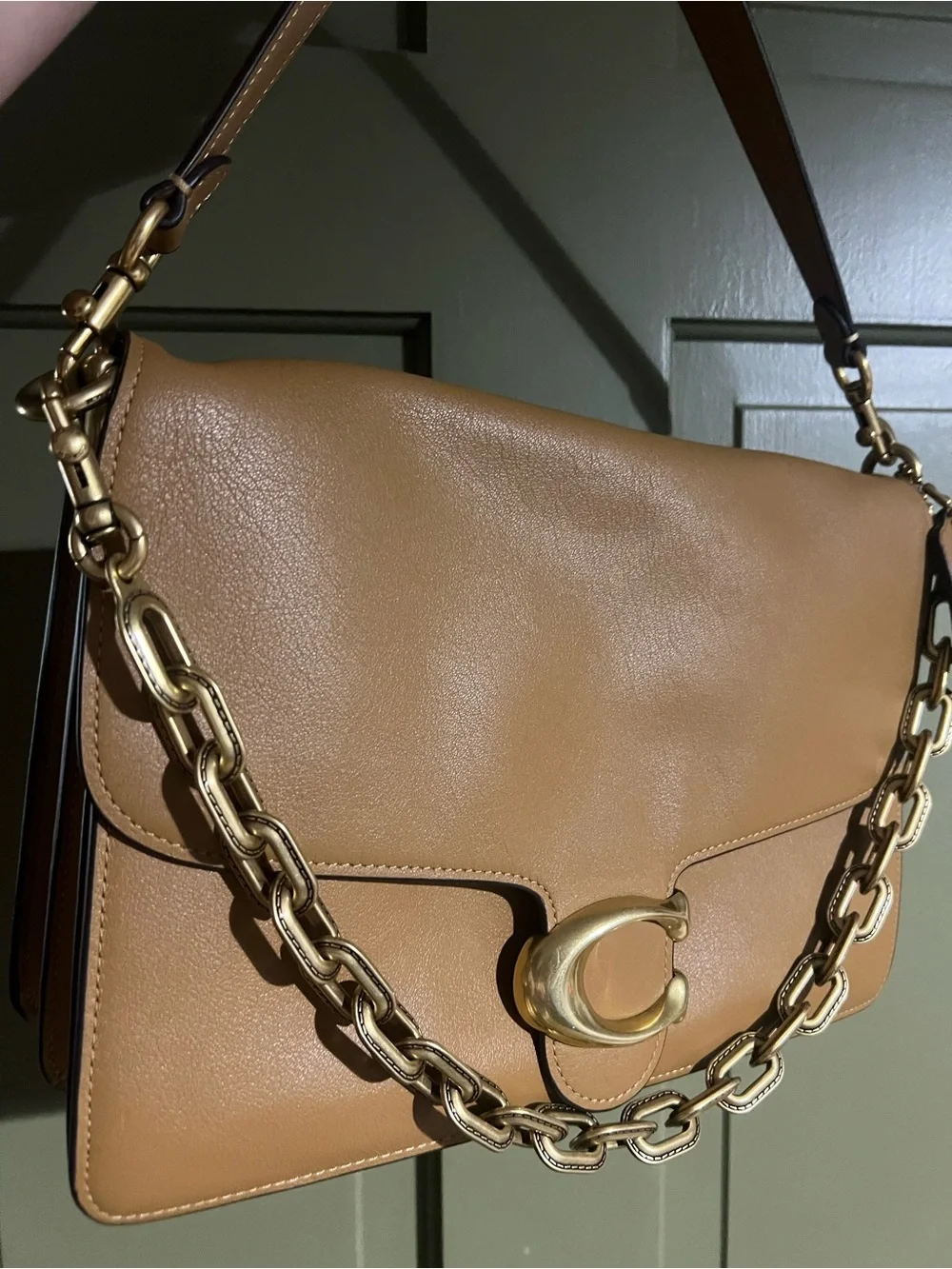 Chain Tabby 30 - Picture 3 of 12